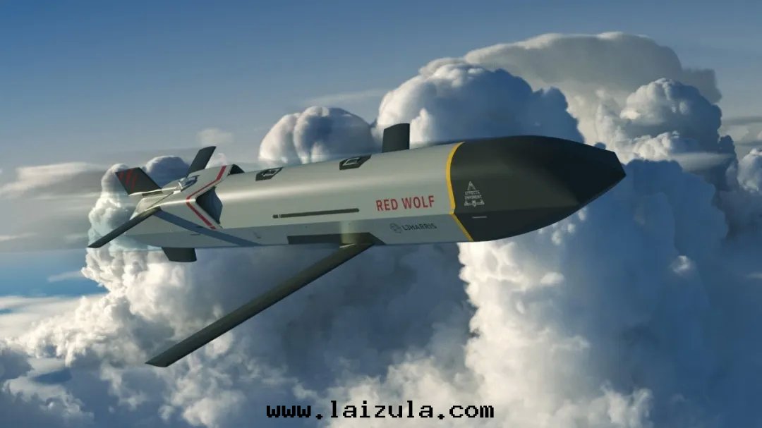 “狼群”彈藥——美(měi)國(guó)轉(zhuǎn)向(xiàng)低成(chéng)本(běn)蜂群作(zuò)战模式的(de)新(xīn)選擇