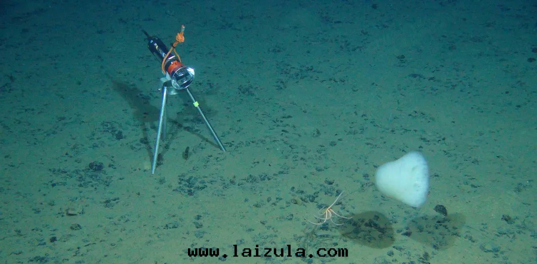 日(rì)本(běn)深海(hǎi)稀土(tǔ)開(kāi)采試验(yàn)战略動(dòng)向(xiàng)及(jí)其(qí)影響评估